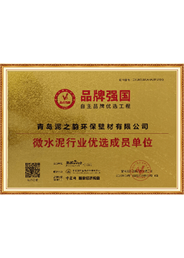 资质10