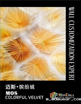 色卡12