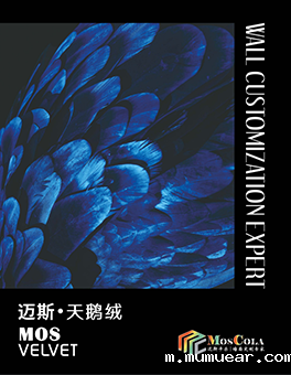 色卡16